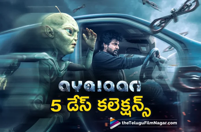 ayalaan 5days collections ayalaan 5days collections