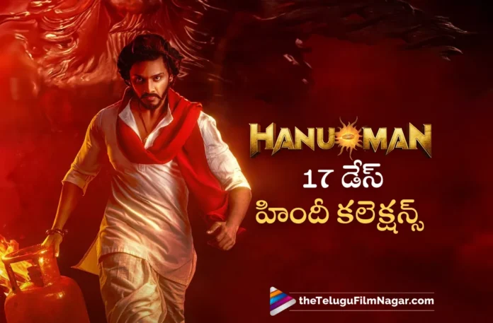 hanuman 17days hindi collections