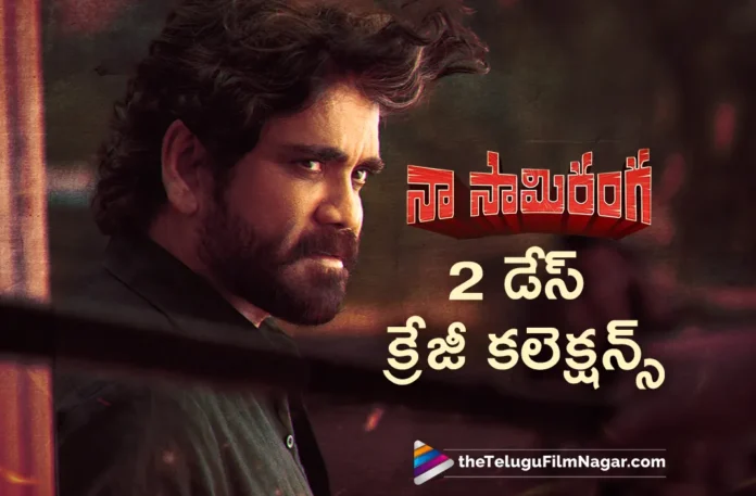 Naa Saami Ranga Movie Two Days Worldwide Collections, Naa Saami Ranga Movie Two Days Collections, Naa Saami Ranga Movie Collections, Two Days Worldwide Collections Naa Saami Ranga Movie, Naa Saami Ranga Collections, Nagarjuna Akkineni, Mirnaa, Allari Naresh, Raj Tarun, Naa Saami Ranga Movie, Naa Saami Ranga Telugu Movie, Latest Tollywood Updates, Telugu Film News 2023, Tollywood Movie Updates, Telugu Filmnagar