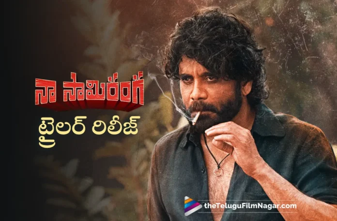 nagarjuna naa saami ranga movie trailer out now nagarjuna naa saami ranga movie trailer out now