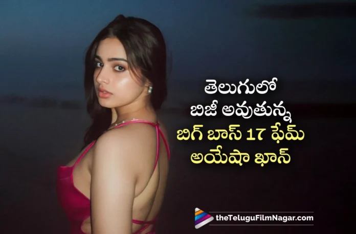Bigg boss Ayesha Khan is getting busy in Tollywood