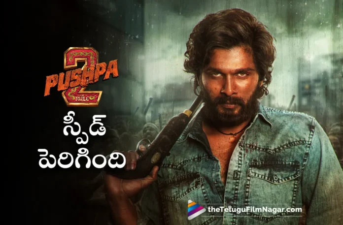 Pushpa 2 shooting goes on at brisk pace Pushpa 2 shooting goes on at brisk pace