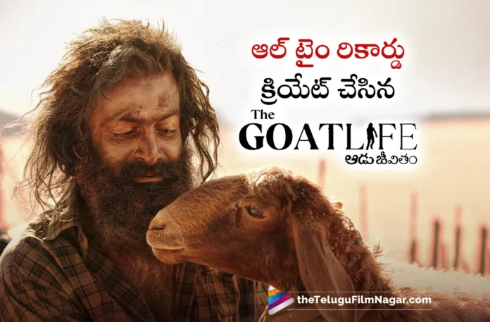 Aadujeevitham becomes All Time Highest Mollywood Aadujeevitham becomes All Time Highest Mollywood