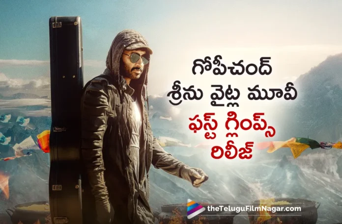 Gopichand and Sreenu Vaitla viswam movie first strike out now