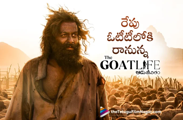 Aadujeevitham to be Out on Disney Plus Hotstar OTT Tomorrow
