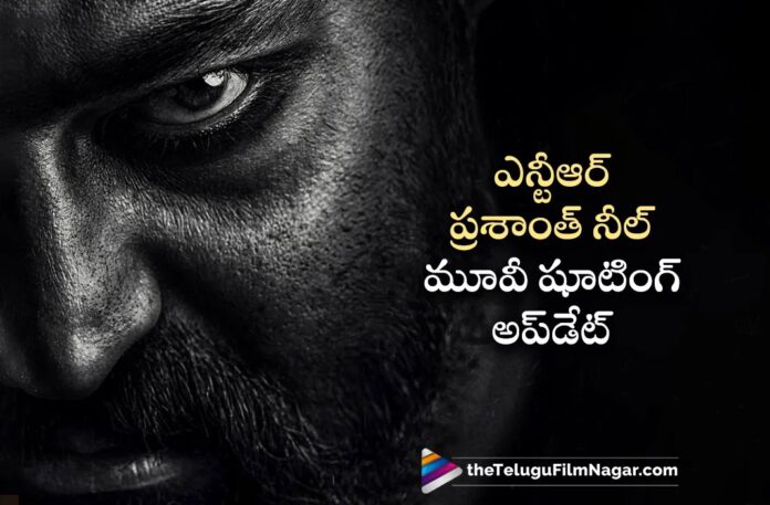 NTR and Prashanth Neel Combo Movie Shoot Begins From August 2024