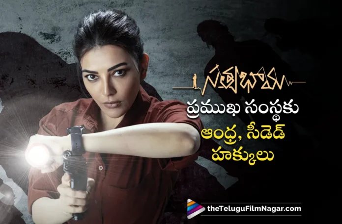 noted distribution house acquired andhra pradesh and ceded release rights