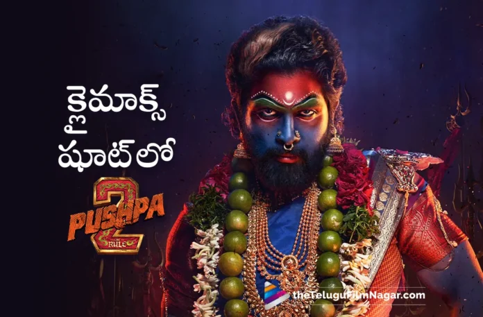 pushpa 2 shooting update