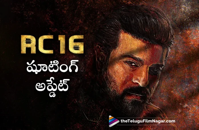 RC 16 shoot starts from august