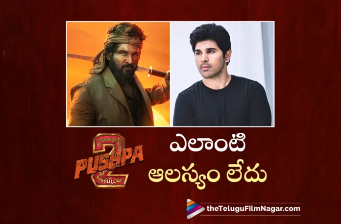 allu sirish clarity on pushpa 2 movie delay