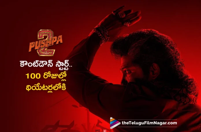 Pushpa 2 Countdown Begins, 100 Days to go For Release in Theatres