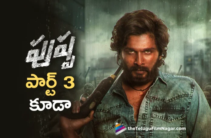 Pushpa 2 The Rule will have a sequel