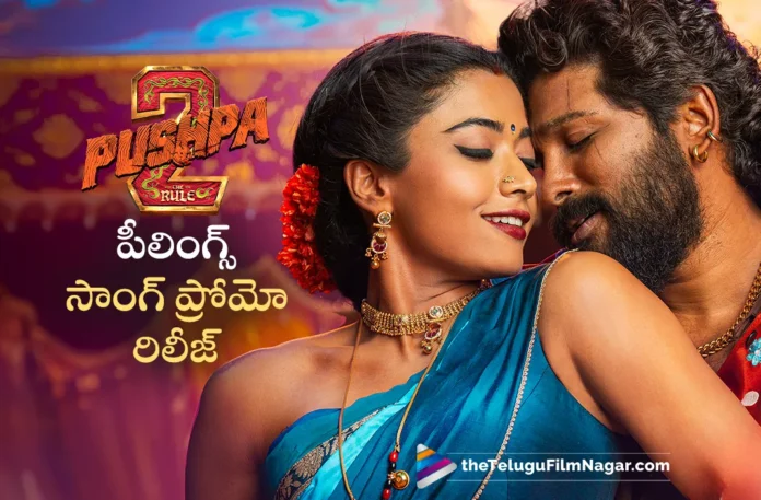 Peelings Song Promo Released From Pushpa 2 The Rule