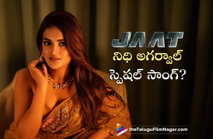 Actress Nidhhi Agerwal Special Song For Sunny Deol' JAAT is A Fake News