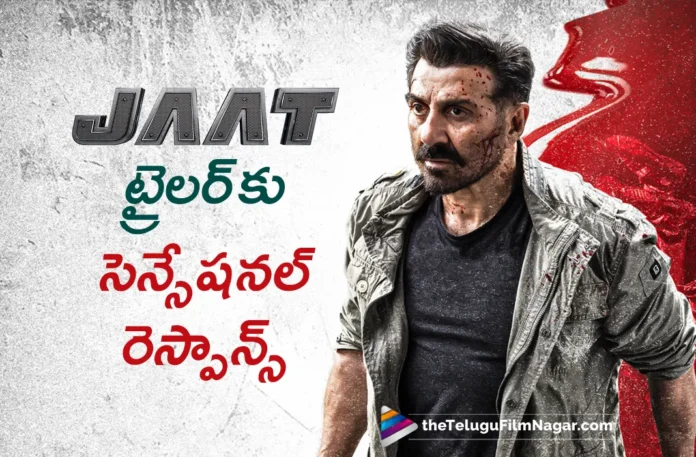 Jaat Trailer Receives A Sensational Response,Telugu Filmnagar,Latest Telugu Movies News,Telugu Film News 2025,Tollywood Movie Updates,Latest Tollywood Updates,Jaat Trailer,Jaat Movie Trailer,Jaat Hindi Movie Trailer,Sunny Deol,Sunny Deol Movies,Sunny Deol New Movie,Sunny Deol Latest Movie,Sunny Deol Jaat,Sunny Deol Jaat Movie,Jaat,Jaat Movie,Jaat Telugu Movie,Jaat Movie Updates,Jaat Update,Jaat Movie News,Jaat Movie Latest Update,Jaat Teaser,Jaat 2025,Gopichandh Malineni,Mythri Movie Makers,SS Thaman,JAAT Trailer,Randeep Hooda,Viineet Kumar Siingh,Thaman S,JAAT Official Trailer,JAAT Theatrical Trailer,JAAT Trailer Out Now,Sunny Deol Jaat Trailer,Sunny Deol Jaat Movie Trailer