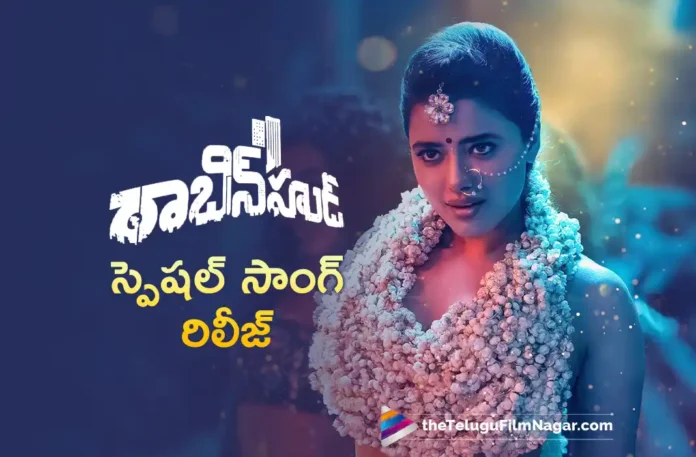 Ketika Sharma’s Special Song With Nithiin Released From Robinhood