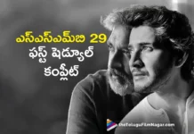 ssmb 29 odisha schedule wrapped