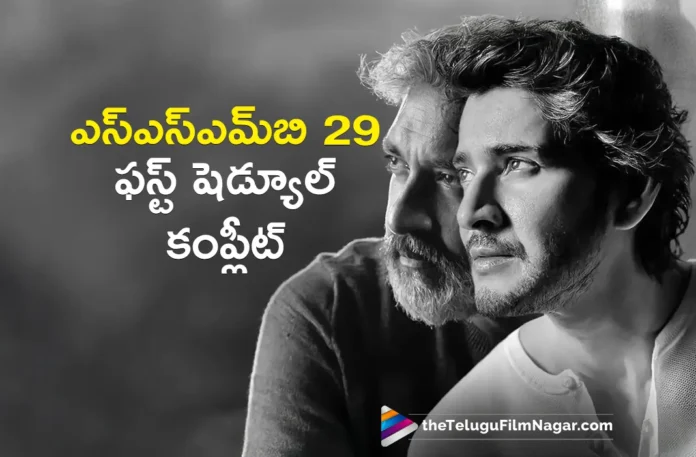 ssmb 29 odisha schedule wrapped
