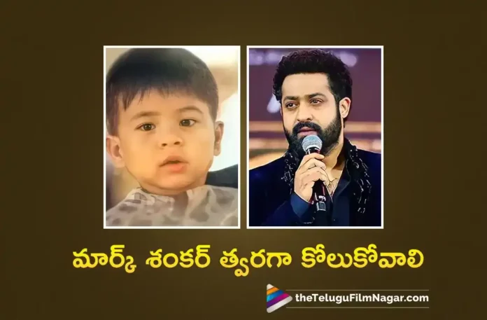 NTR Wishes Speedy Recovery of Pawan Kalyan Son Mark Shankar