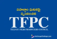 Telugu Producers Council Solidarity For Indian Govt Over Pahalgam Incident