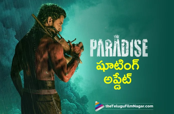 The Paradise will go on floors on May 2