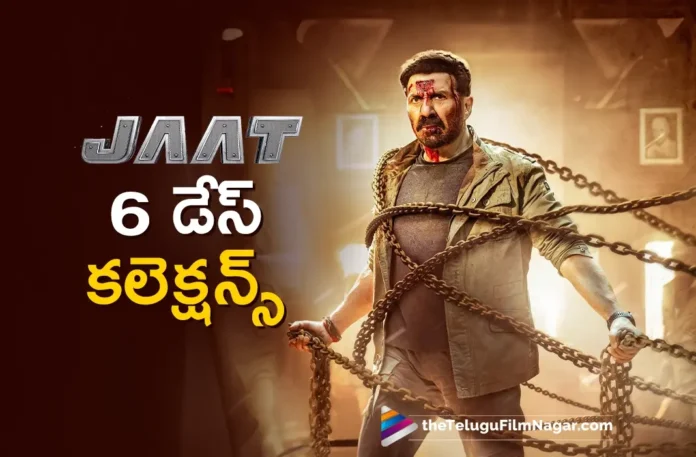 jaat 6 days collections