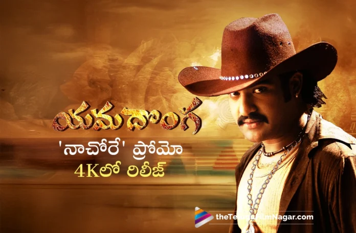 Nachore Song Promo 4k Out From NTR's Yamadonga Ahead of Re-Release Nachore Song Promo 4k Out From NTR's Yamadonga Ahead of Re-Release