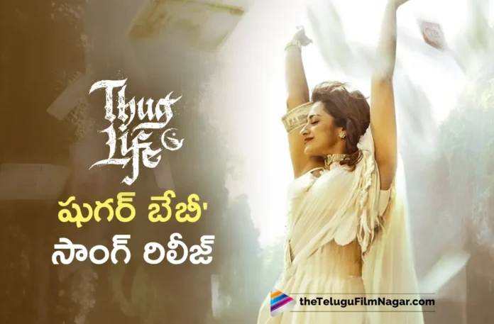 Thug Life Second Single Sugar Baby Released