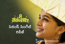 8 Vasantalu second single Parichayamila out now