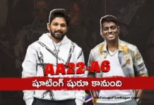 AA 22 x A 6 shoot begins tomorrow