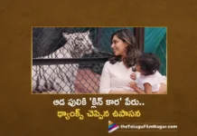 Upasana Konidela Thanks Hyderabad Zoo Park Team For Naming A Tigress Klin Kaara