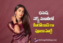 Pooja hegde is Said to be the Female Lead of Dhanush & VigneshRaja Project