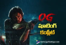 The shoot of OG has been wrapped up