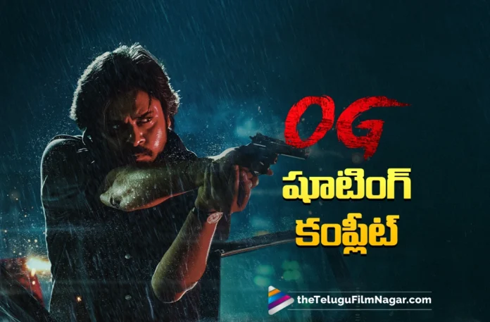 The shoot of OG has been wrapped up
