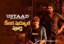 Ustaad Bhagat Singh Crucial Schedule Wrapped Up