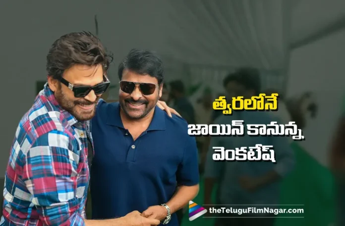 Venkatesh to Join the Shoot of Mana Shankara vara Prasad Garu Soon