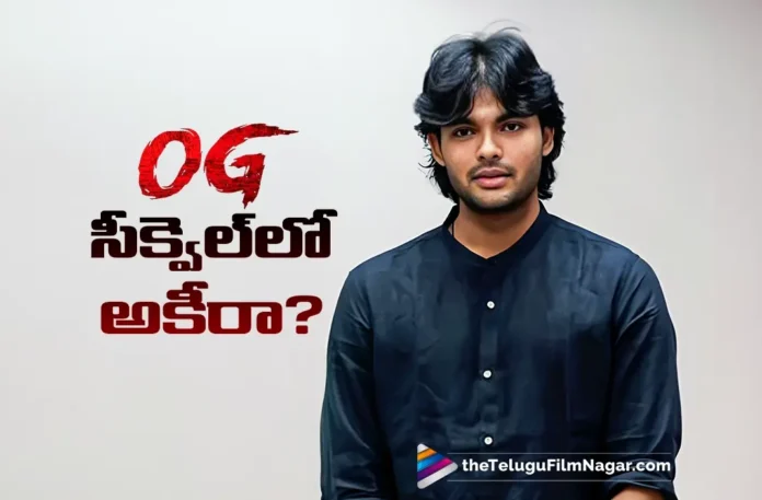OG Director Sujeeth Responds to Akira Nandan Casting Rumours For The Sequel