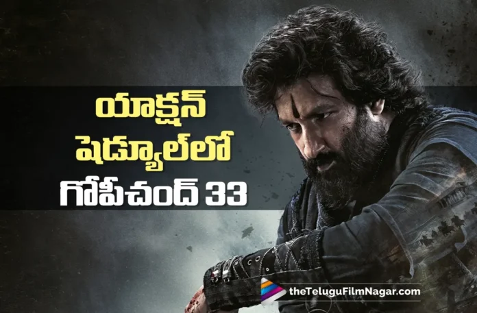 Gopichand 33 Enters High-Octane Action Schedule