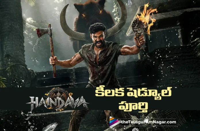 HAINDAVA Crucial Schedule Completed HAINDAVA Crucial Schedule Completed