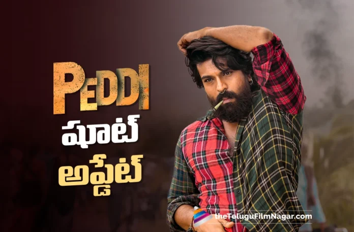 Peddi Gearing Up for the Next Big Schedule