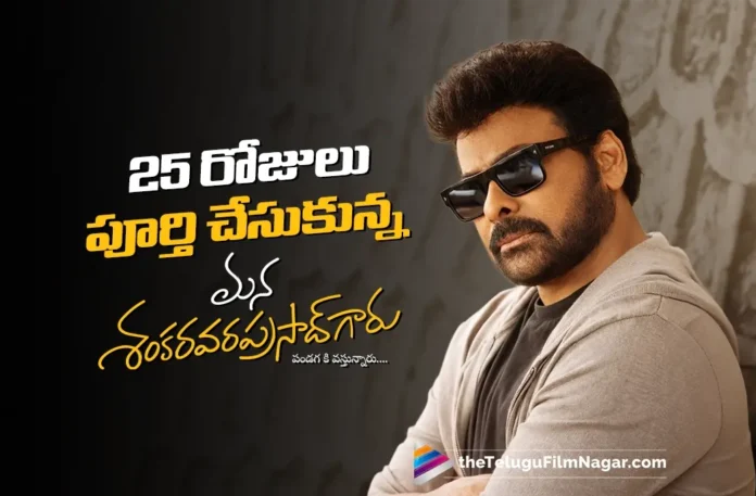 Mana Shankaravaraprasad Garu Crosses ₹375 Crore Mark