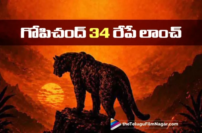 Gopichand 34 Set as a Massive Action Drama