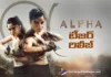 పవర్ఫుల్ యాక్షన్ అవతార్లో అలియా భట్ Alpha Teaser Released