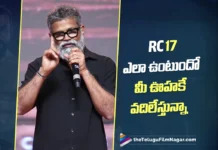 RC 17 ఎలా ఉంటుందో మీ ఊహకే వదిలేస్తున్నా – సుకుమార్ Sukumar’s Speech at the Peddi Mega Blockbuster Event