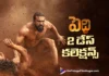 peddi 2 days collections