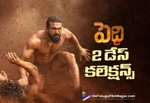 peddi 2 days collections