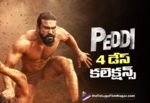 peddi 4days collections