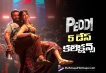peddi 5 days collections