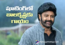 కాకినాడలో NBK 111 షూటింగ్లో బాలకృష్ణకు గాయం Balakrishna Injured During ‘NBK 111’ Shoot in Kakinada