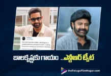 బాల బాబాయి త్వరగా కోలుకువాలి – ఎన్టీఆర్ NTR Wishes Balakrishna a Speedy Recovery